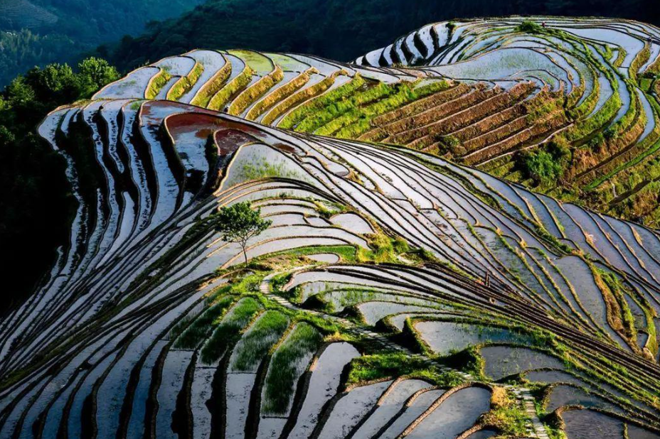 天下奇观数龙脊