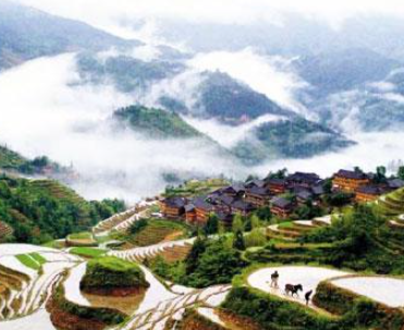 龙脊梯田美如画