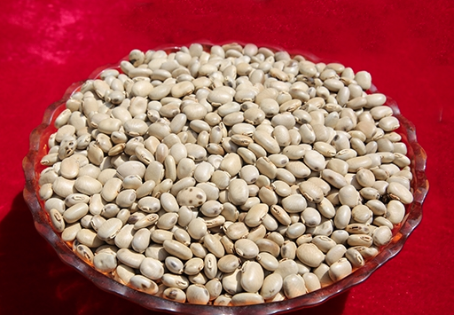 瑶区特色优质豆类食物——猫 豆