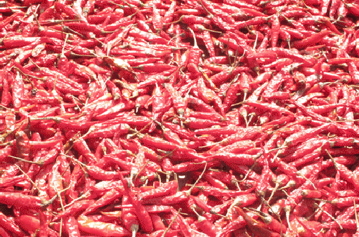 大化长寿瑶乡特产——辣椒