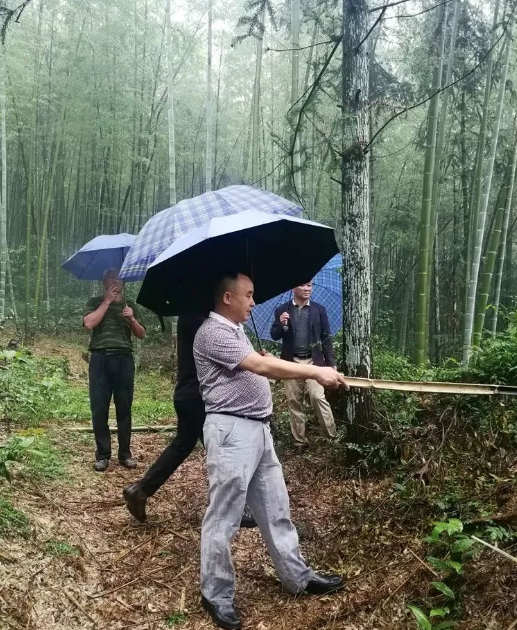 兴安县华江瑶族乡发现疑似红军战壕