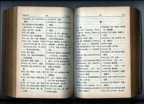 壮族的语言文字