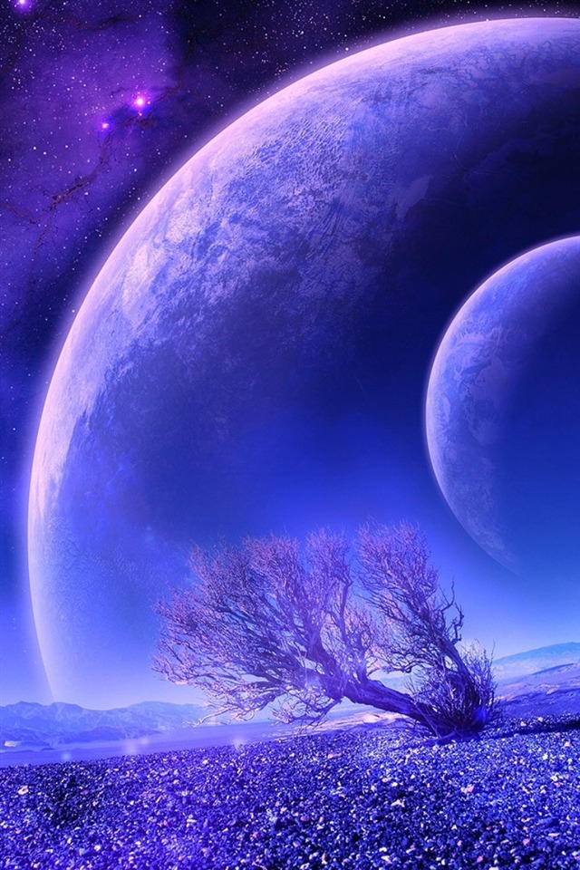 壮族马骨胡音乐文化