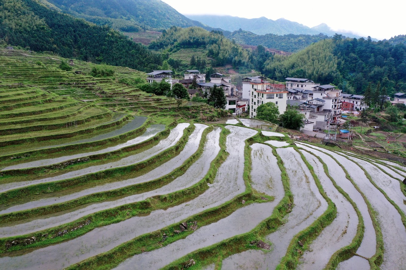 金秀瑶族自治县委常委、宣传部部长王炳吉接受采访