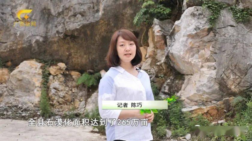 90后河池大学生蓝钧回乡种地，做家乡脱贫领路人 | 在希望的田野上 