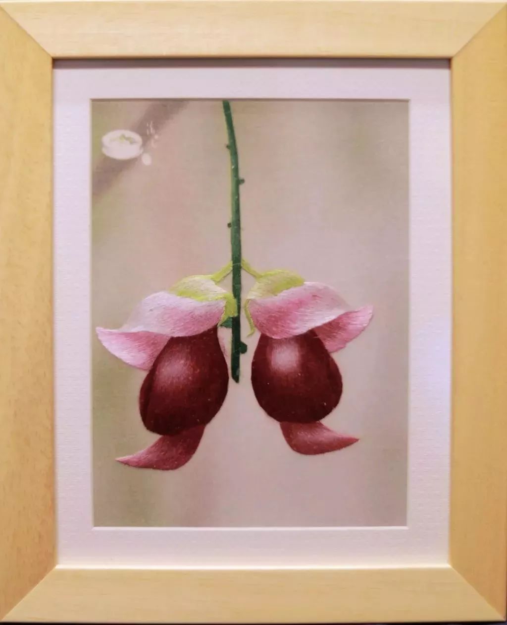 清绣“禾雀花开”：一份来自清远的文化手信