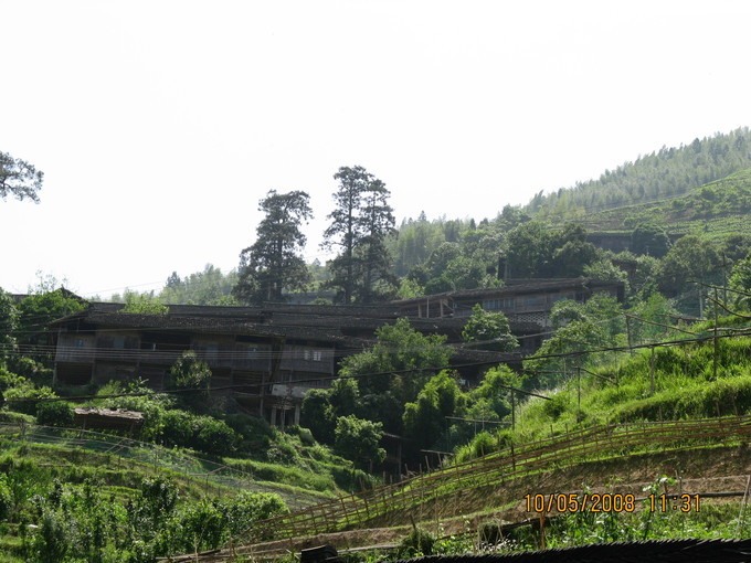 金竹壮寨：原生态的古壮寨