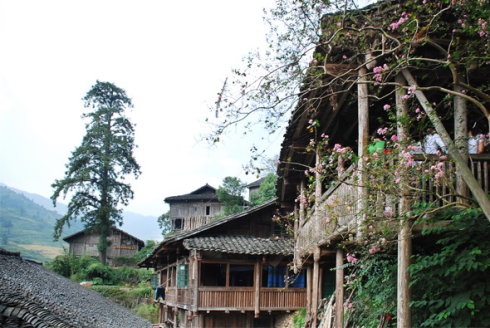 金秋桂林龙胜游之:金竹壮寨