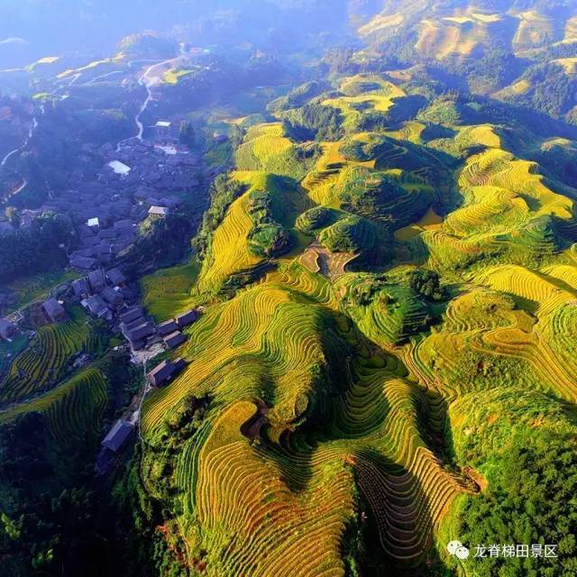 欣赏龙脊梯田金秋美景的旅游路线