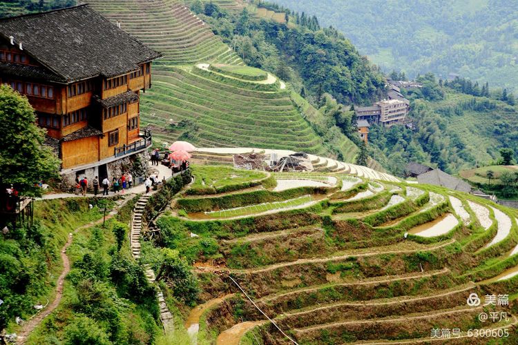 五月的龙脊梯田，平安壮寨的七星伴月