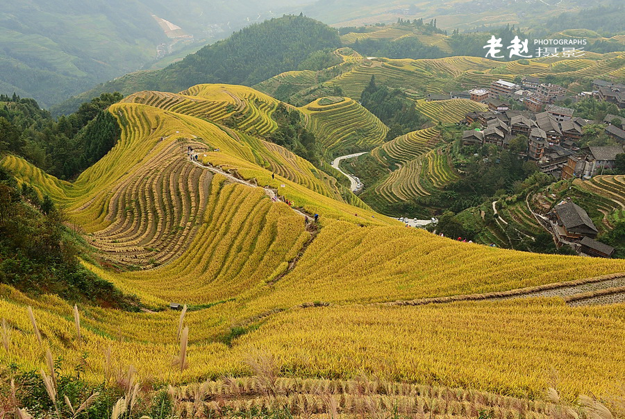 秋探龙脊 —平安壮寨梯田