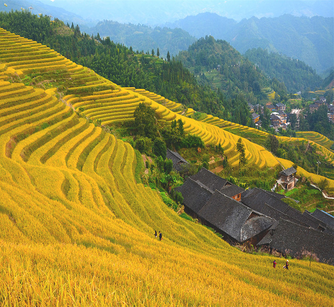 平安壮寨之七星伴月