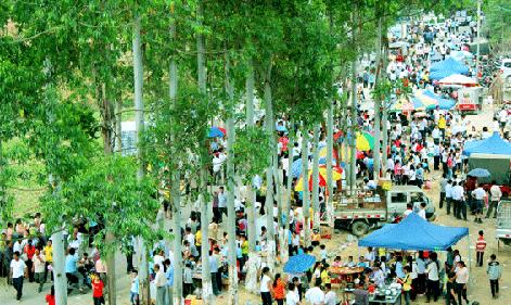 绽放民俗魅力的壮族山歌会