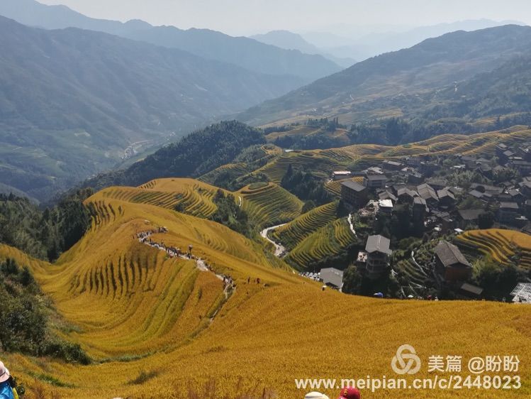 广西龙脊平安壮寨梯田