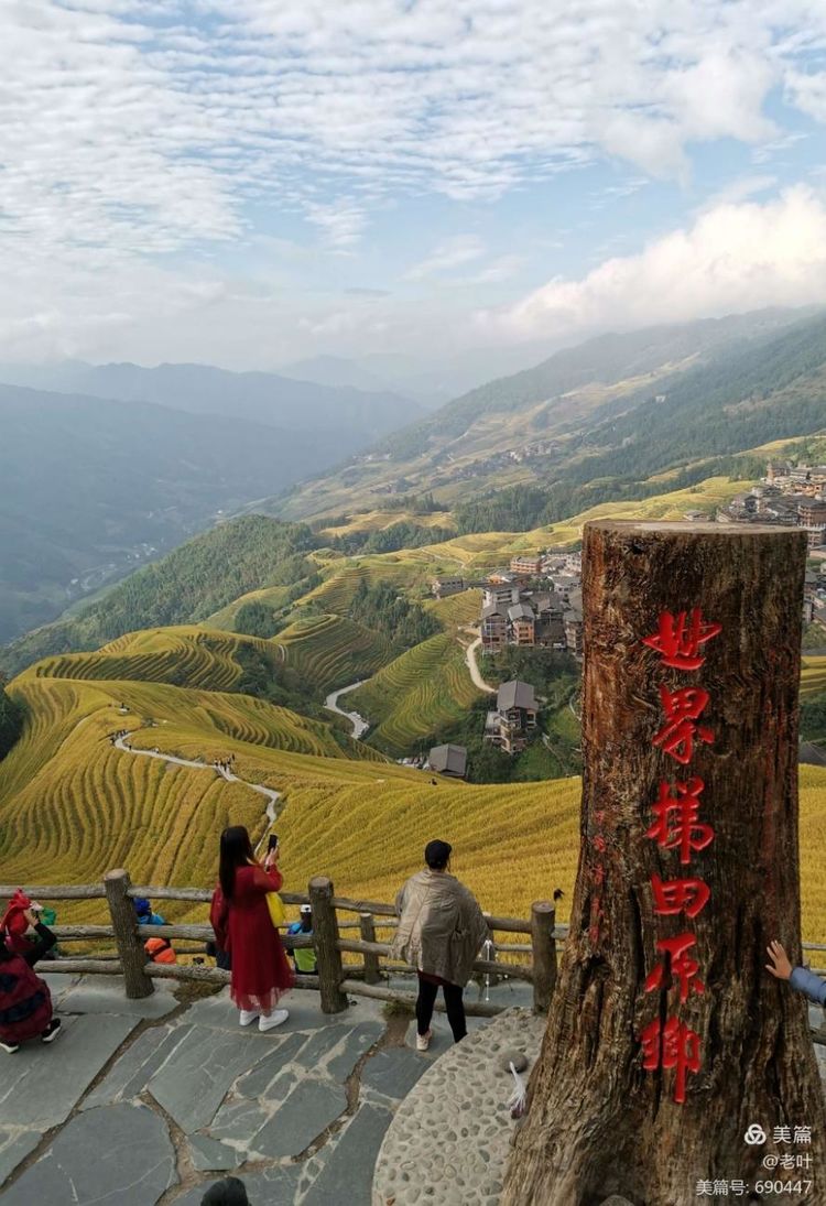 稻熟秋黄醉龙脊