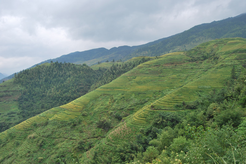  壮乡山寨别样风情