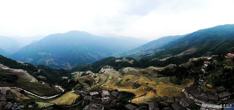 镌刻在龙脊上的绝美线条