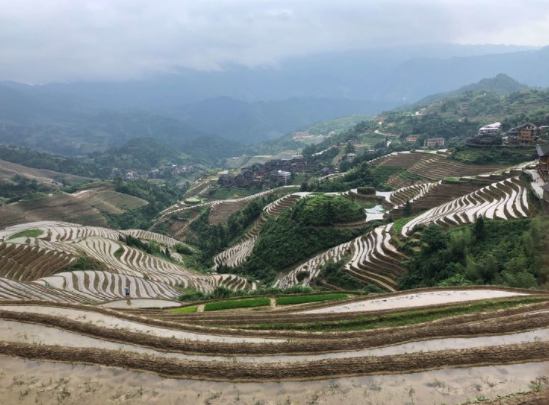 龙脊梯田之金坑红瑶梯田