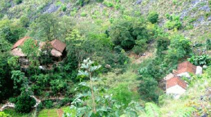 布努瑶蒙朵外和罗、韦打亲家的历史渊缘