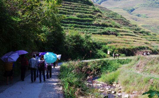 布努瑶“大还愿”习俗